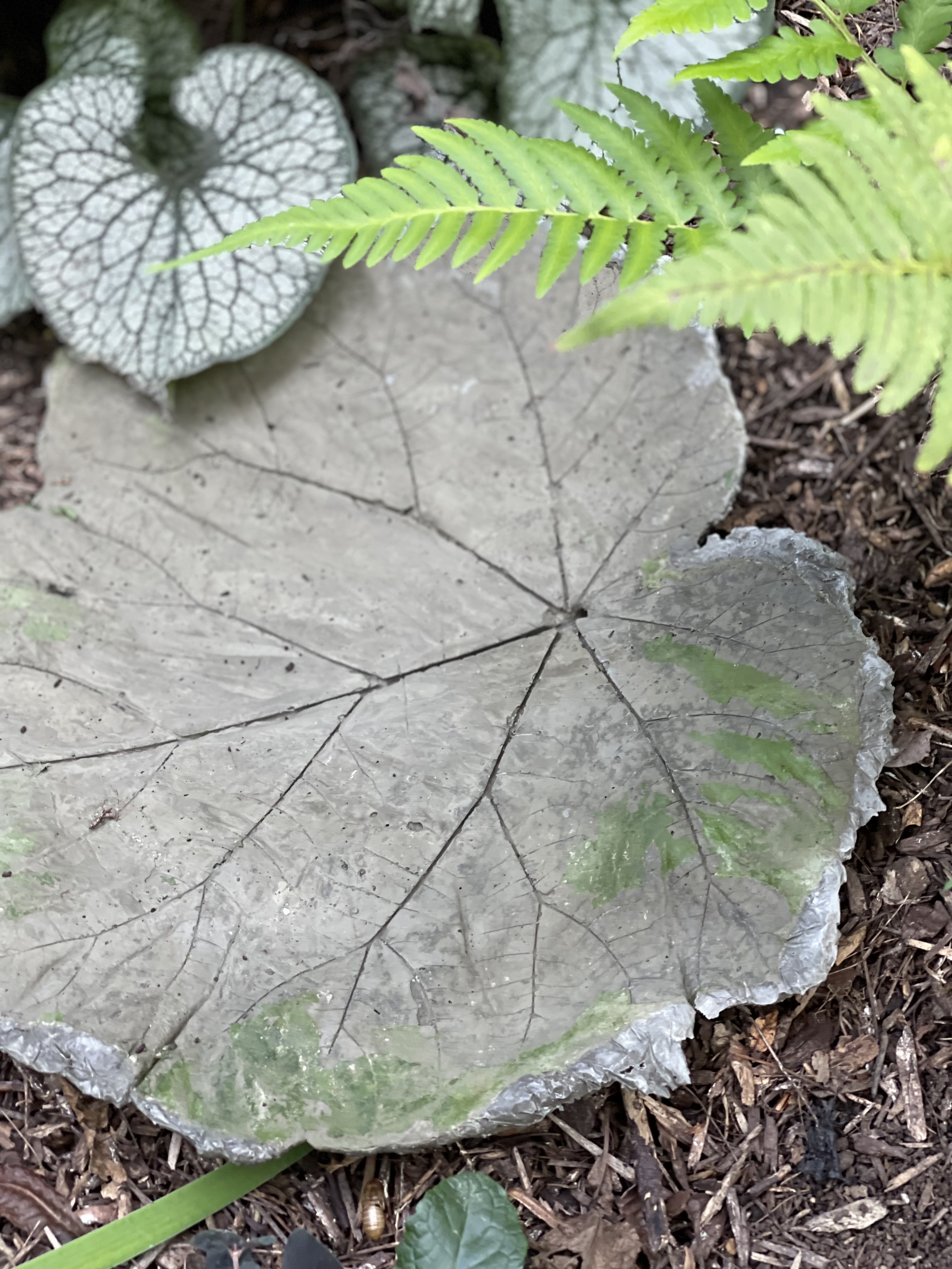 How to Make Concrete Leaf Casting Bowl, Elephant Ear Cement Leaf