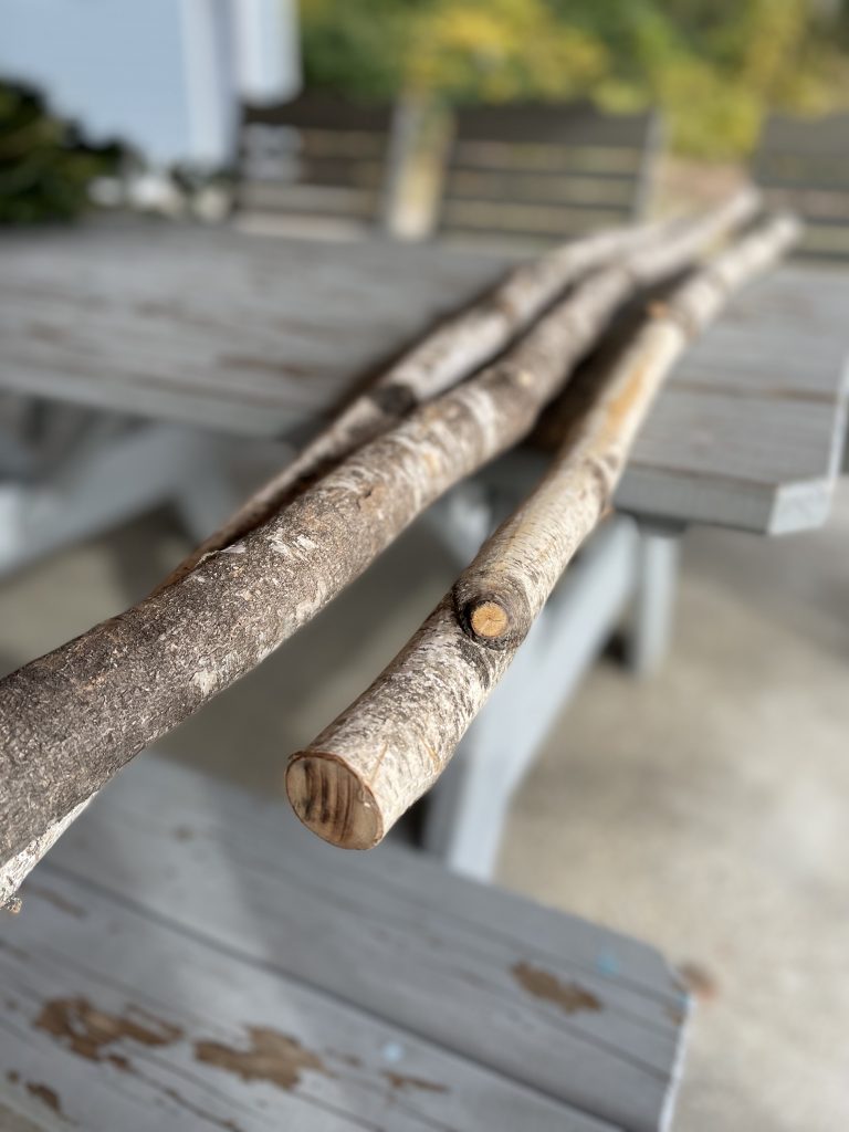 BIRCH LOGS