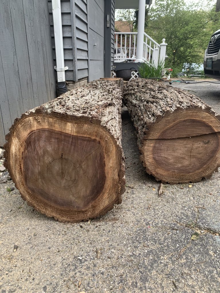 TWO LARGE BLACK WALNUT LOGS