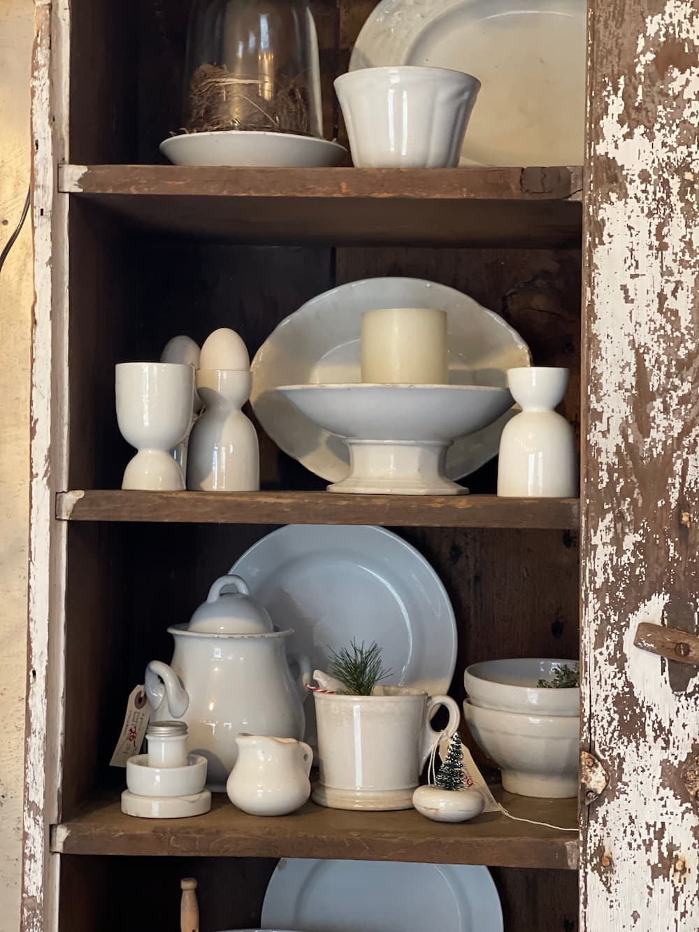 LATELY ON THE LAKE Saved from Salvage