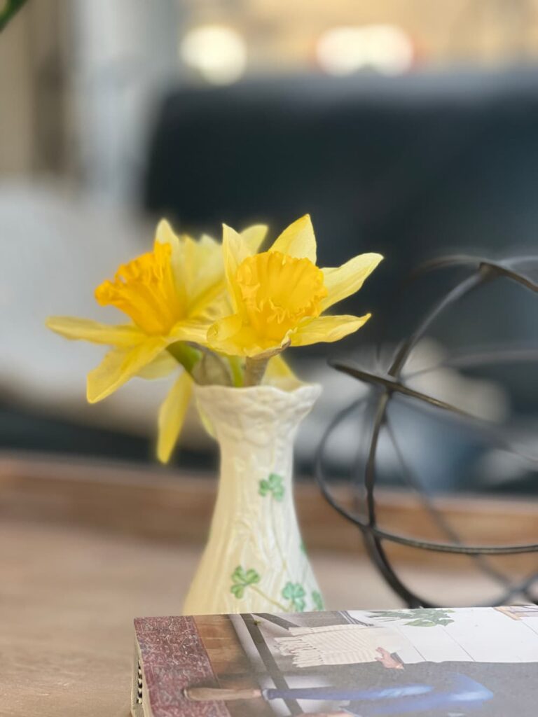 green and white belleek vase from ireland with daffodils