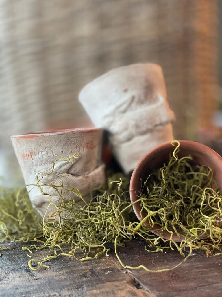 3 small vintage clay pots with clay bunny stamps on the outside.