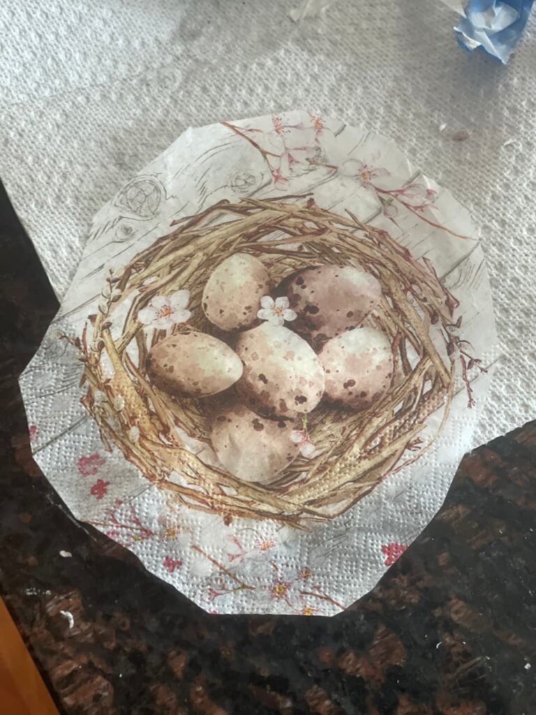 A PICTURE OF A NEST CUT FROM A NAPKIN