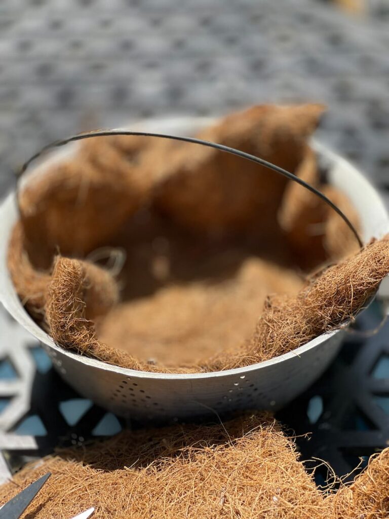 colander with coir in the bottom