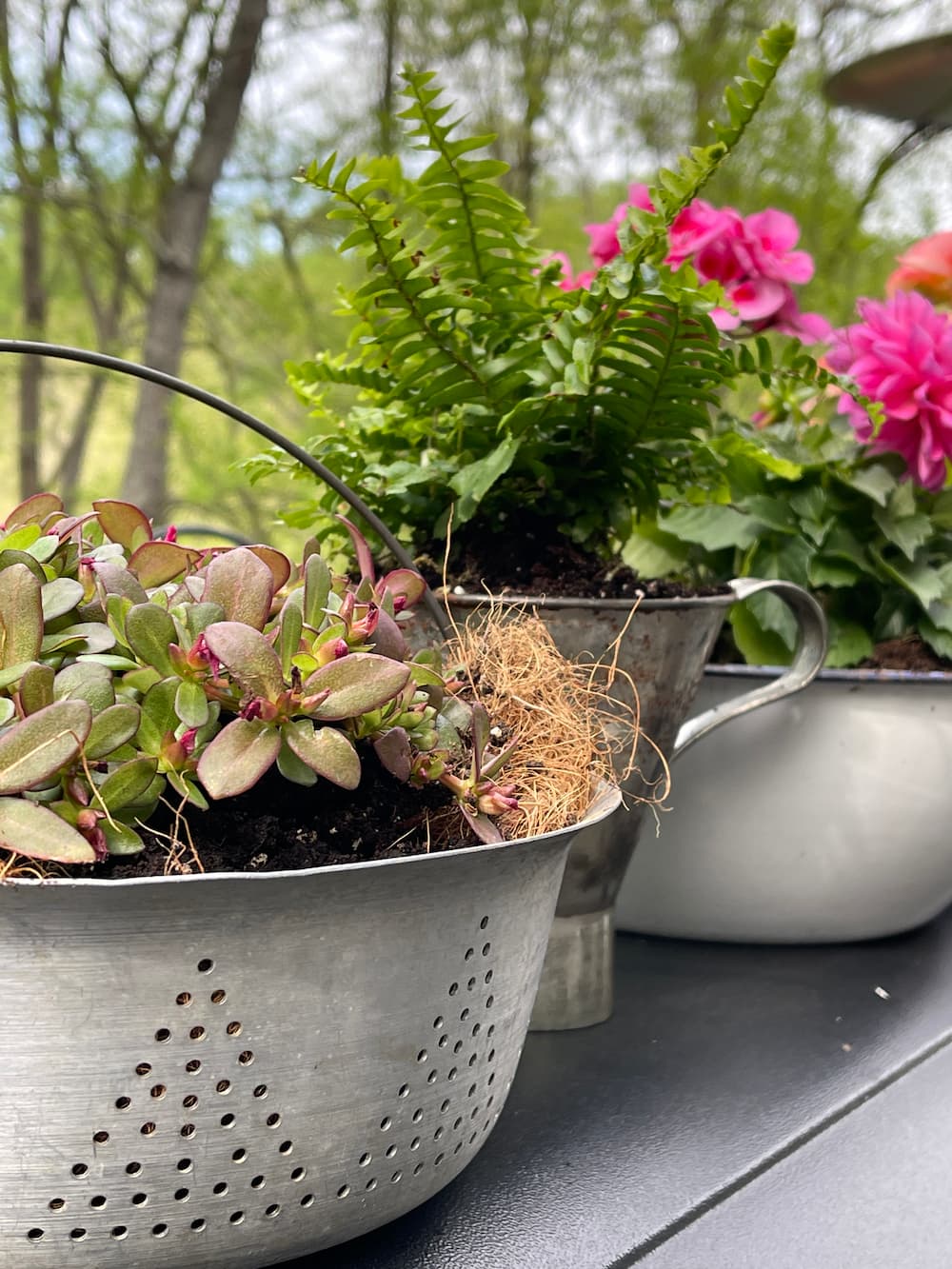 HOW TO USE VINTAGE CONTAINERS TO CREATE A UNIQUE GARDEN Saved from