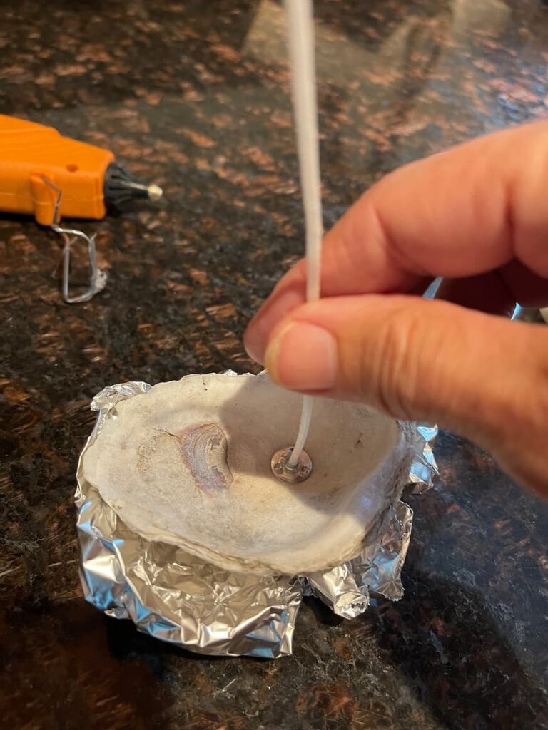 WICK BEING PLACED IN OYSTER SHELL