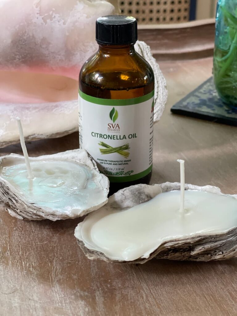 CITRONELLA OIL AND OYSTER SHELL CANDLES