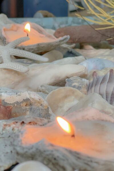 a tray of shells with a few oyster shell candles