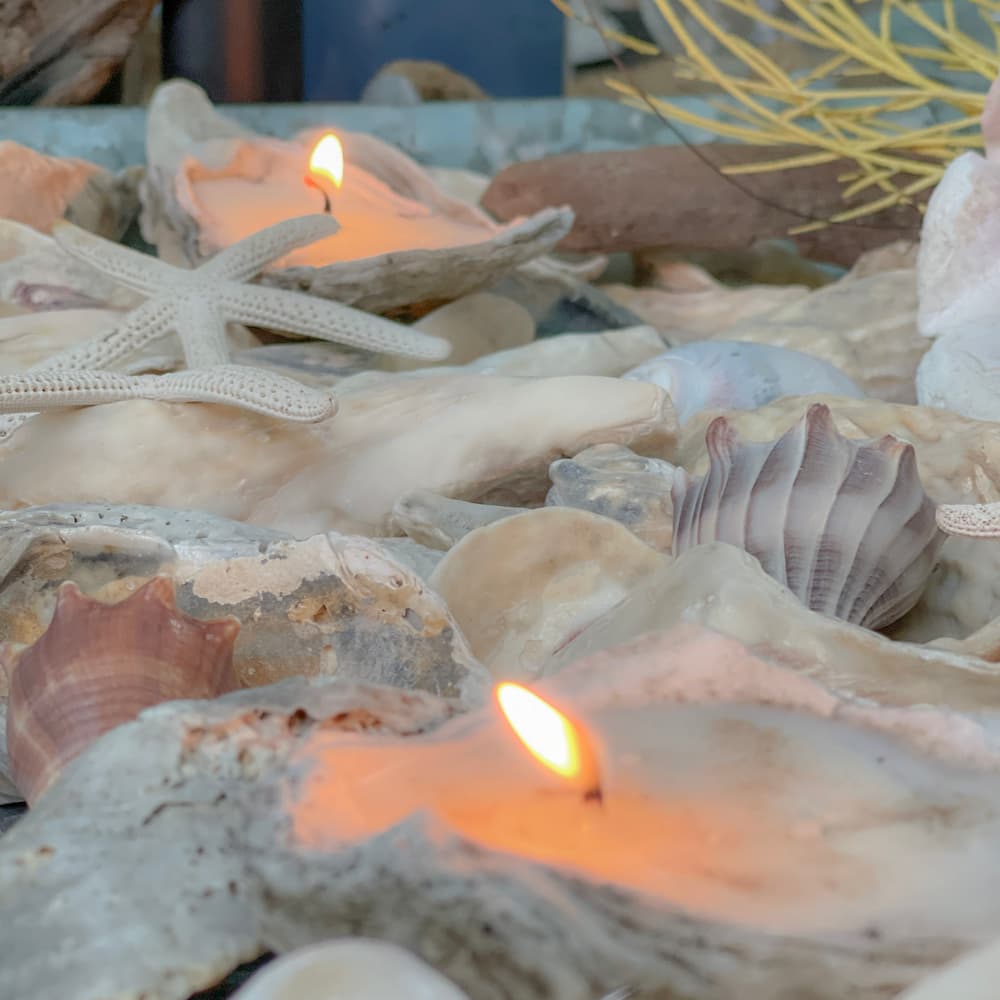  a tray of shells with a few oyster shell candles