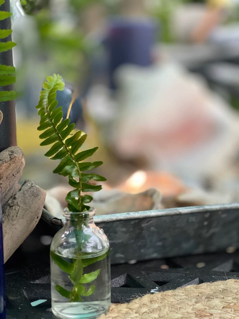 a vase of ferns