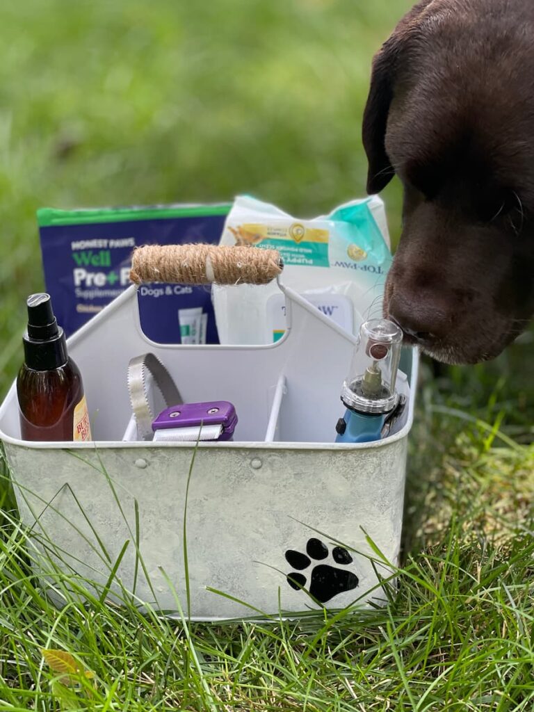 silverware caddy with a paw print filled with nail clippers, wipes and brushes for the dogs