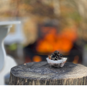 FIRE STARTER ON LOG INFRONT OF FIRE