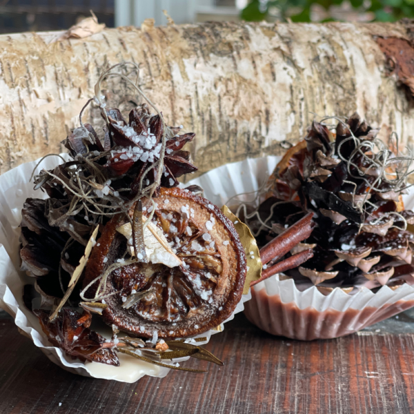 DIY HAND DIPPED PINECONE FIRE STARTERS - Saved from Salvage